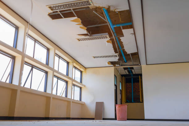 Best Carpet water damage restoration  in Longview, WA