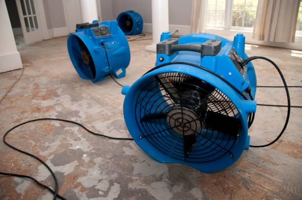 Best Sewage cleanup and water damage restoration  in Longview, WA