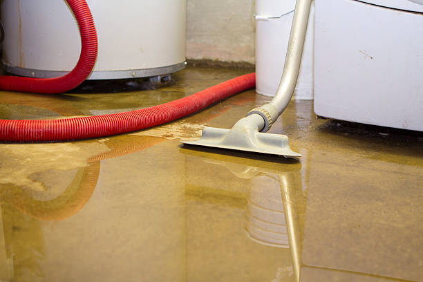 Local water damage restoration in Longview, WA
