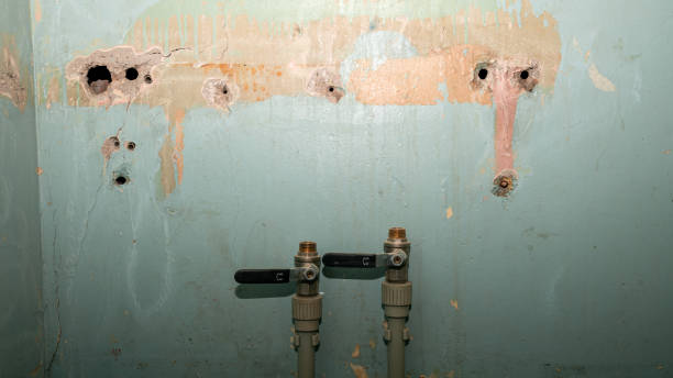 Best Professional water damage repair  in Longview, WA