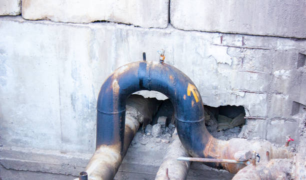 Best Flood restoration services  in Longview, WA