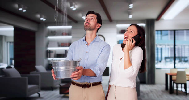 Best Water damage cleanup near me  in Longview, WA