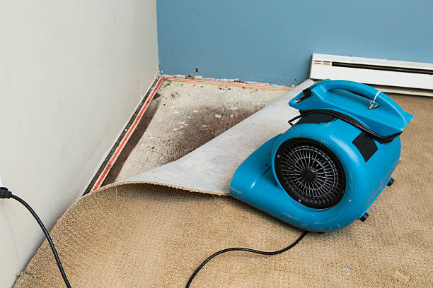 Best Flooded house restoration  in Longview, WA